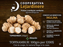 Topinambur 100g