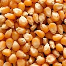 Maíz pisingallo 1kg