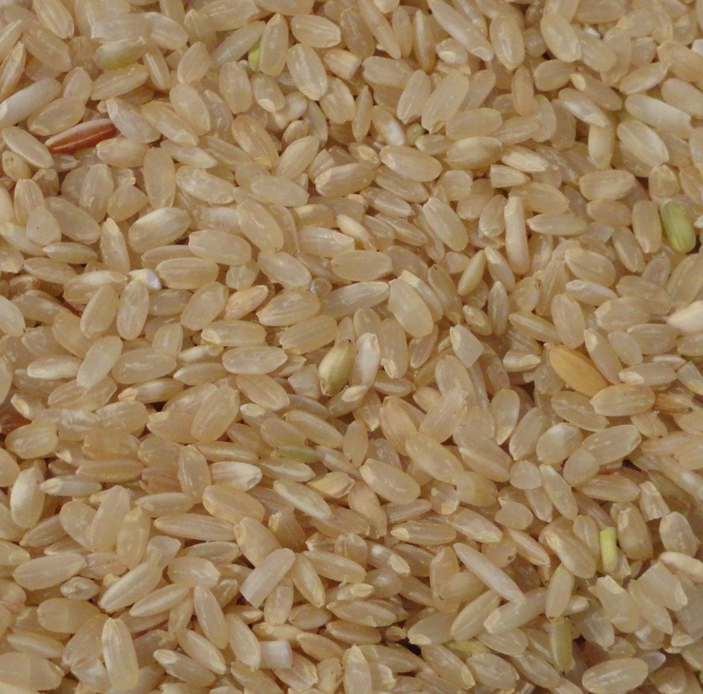 Arroz Yamani integral 500grs