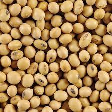 Soja Poroto 1kg