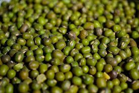 Poroto mung 1kg