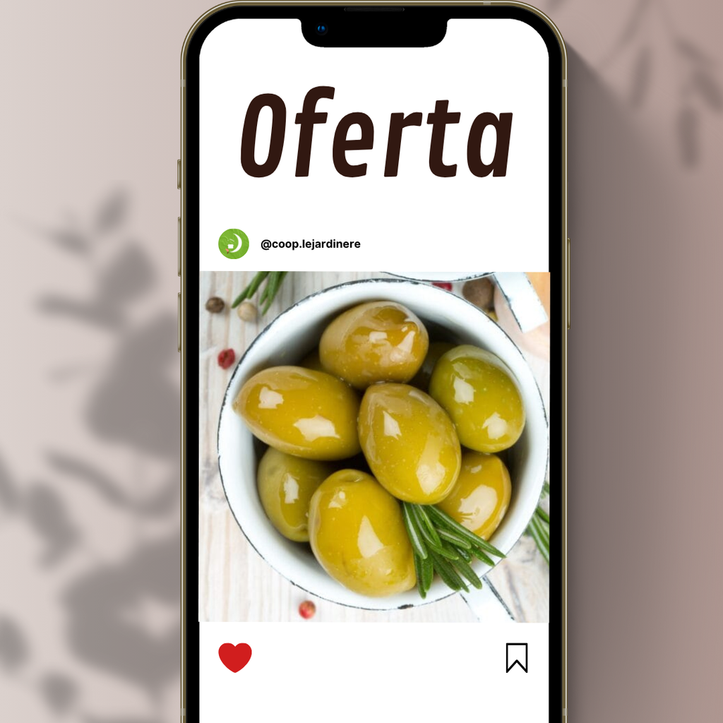 Aceitunas orgánicas verdes 1kg