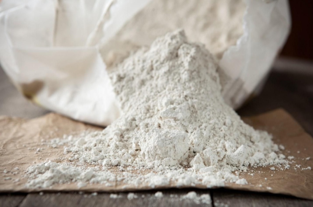 Tierra de diatomeas agricola 500g