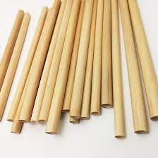 Sorbetes biodegradables (reutilizables)x10u