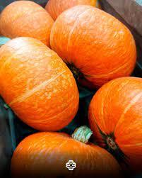 Zapallo Princesa unidad