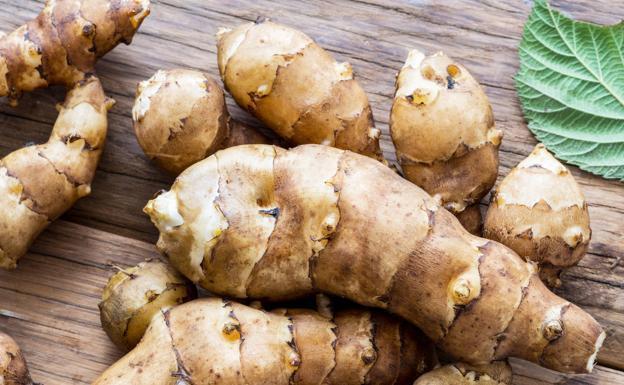 Topinambur (tuberculo comestible)