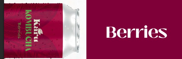 Kombucha Karu Berries lata 360cc