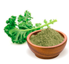 Kale en polvo Fino Orgánico 1kg Simply Good