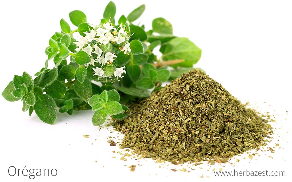 Oregano 100grs