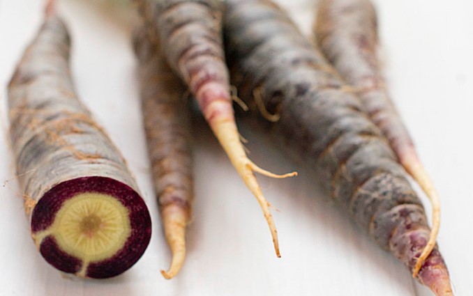 Zanahoria Morada Atado