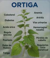 Ortiga Atado