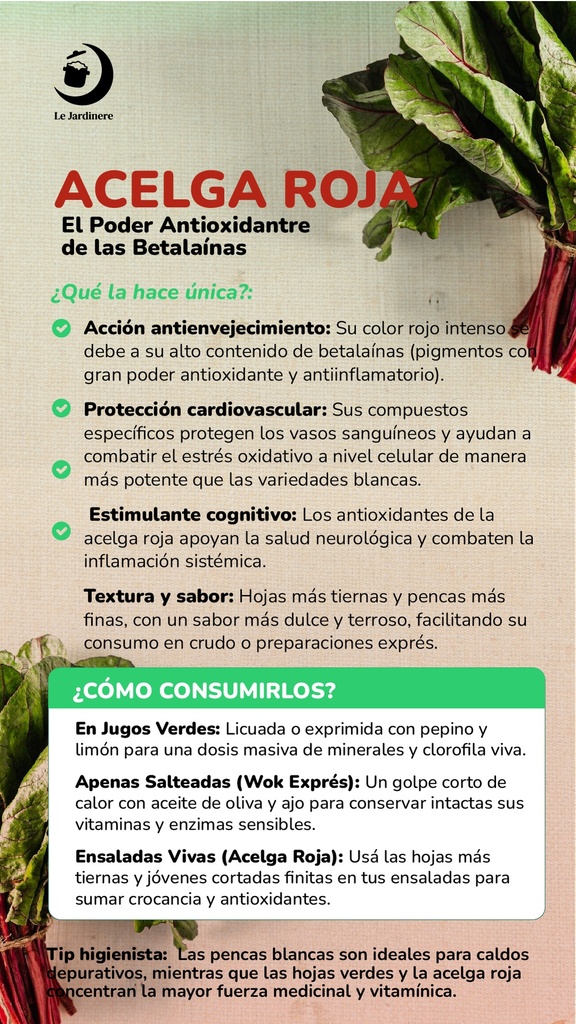 Acelga Roja Atado