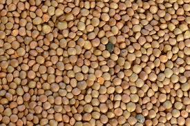 Lentejas 1kg