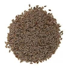 Psylium/zaragatona Semillas 100grs