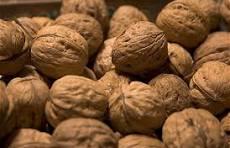 Nuez con cáscara 1kg granel