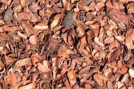 Cascarilla de cacao  MOLIDA 1kg