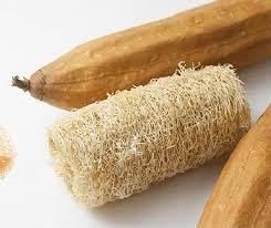 Esponja vegetal