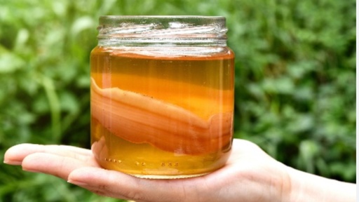 Kombucha - Lata