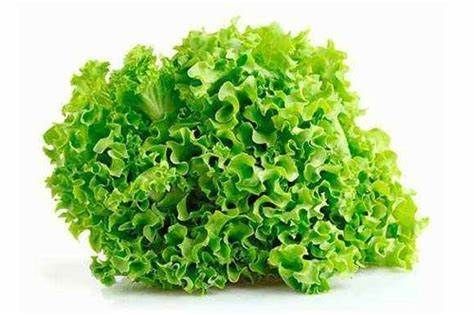 Lechuga 1 unidad