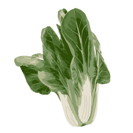 Acelga 1kg