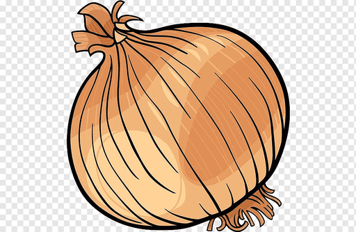 Cebolla
