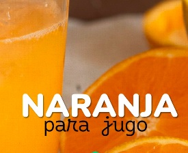 Naranja 4,5kg oferta