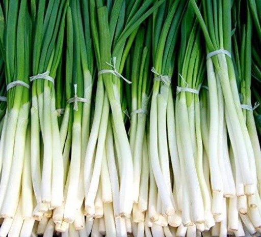 Verdeo cebollita