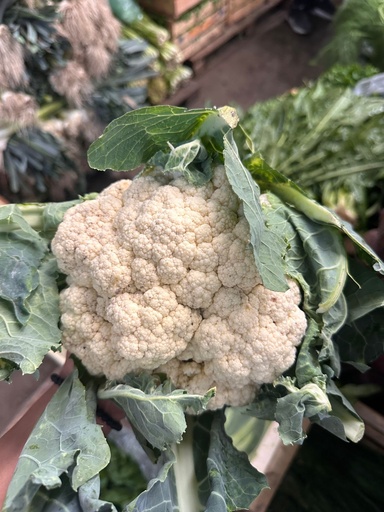 Coliflor