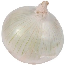 Cebolla Blanca