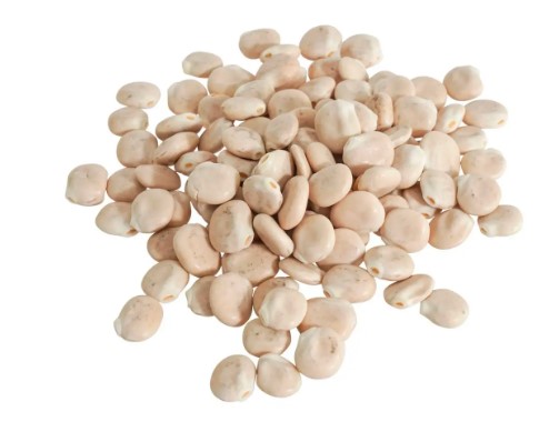 Lupines 500grs