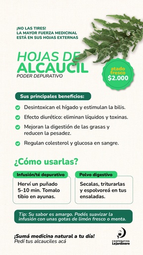 Hojas de Alcaucil
